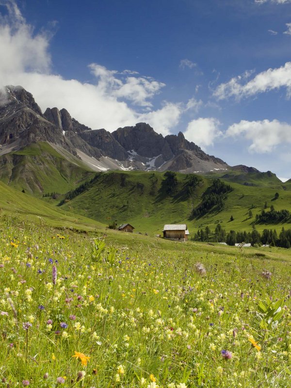 Moena, the fairy of the Dolomites