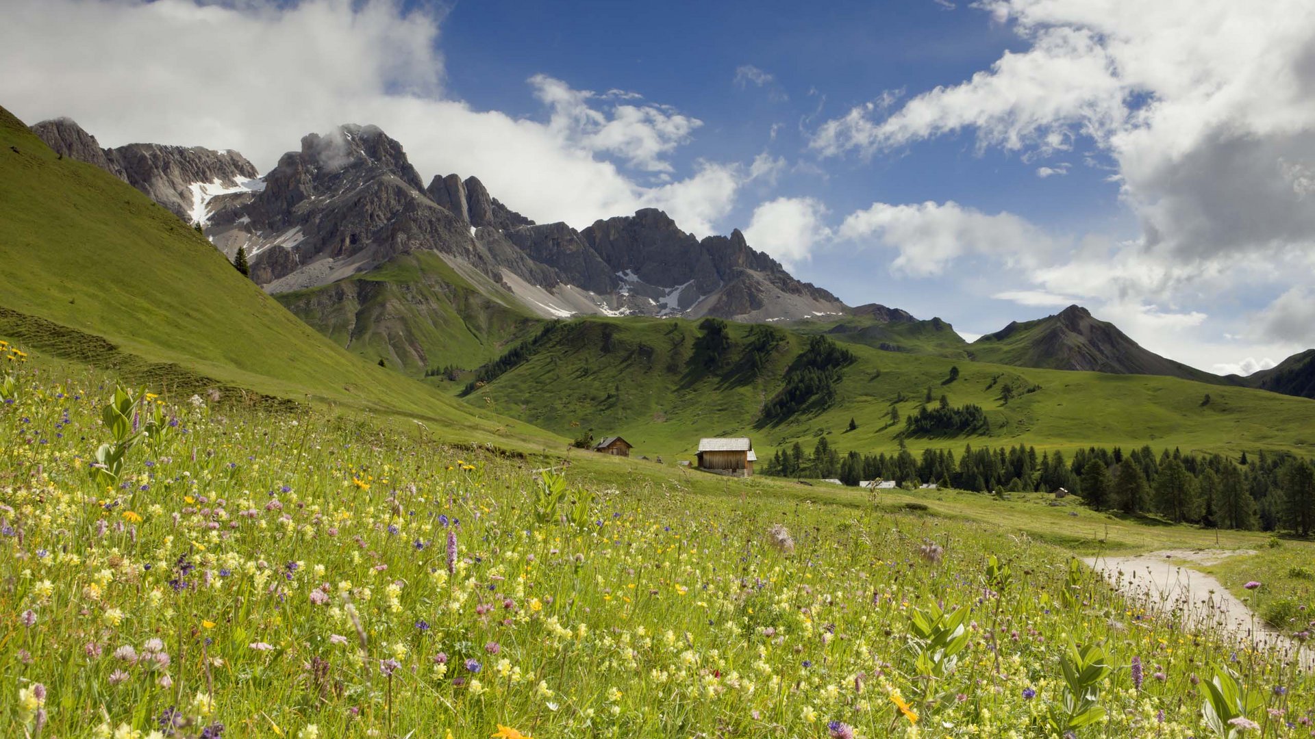 Sanfter Ökotourismus in den Alpen in Bildern