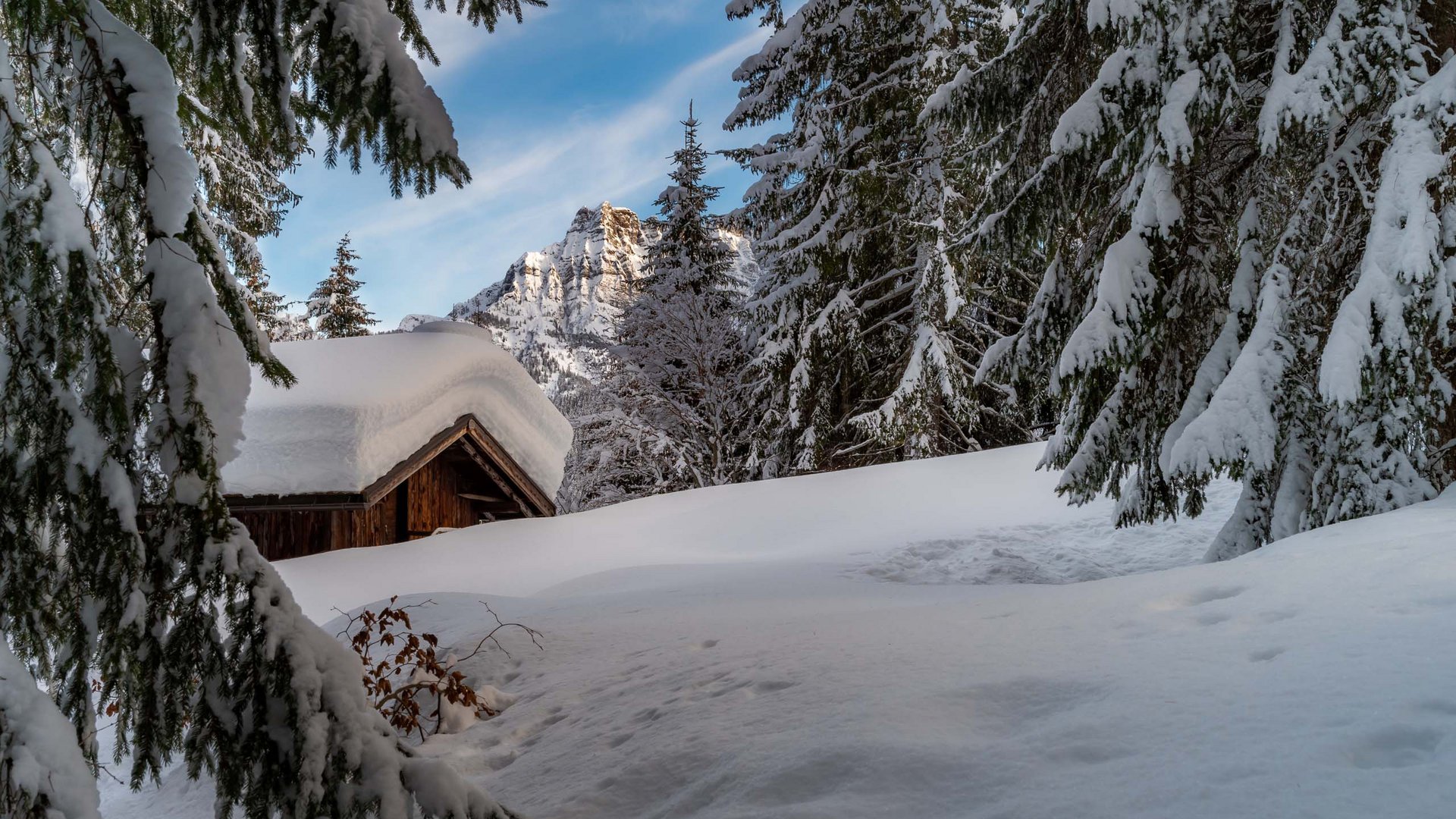 Pictures of gentle eco-tourism in the Alps