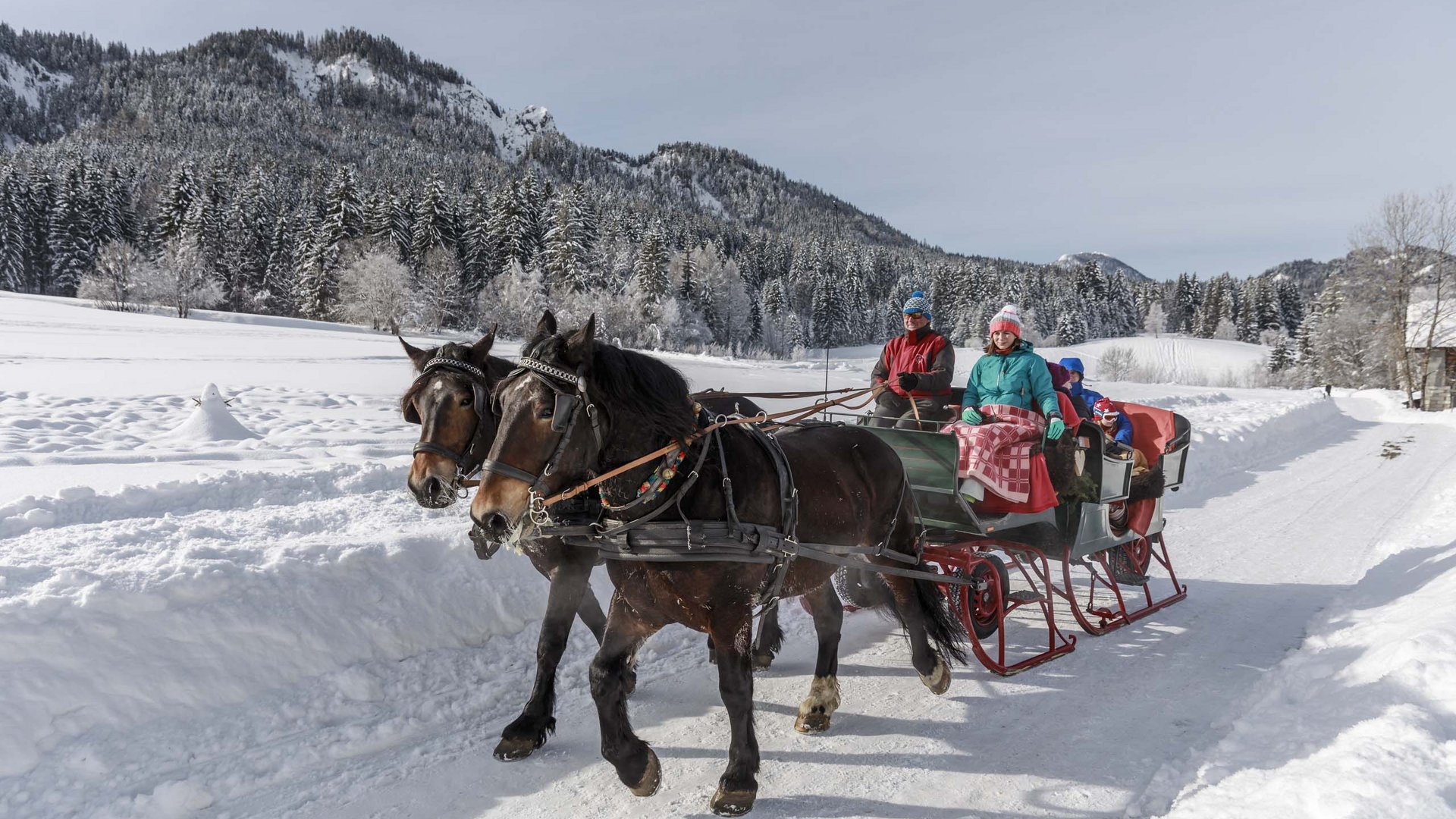 Pictures of gentle eco-tourism in the Alps