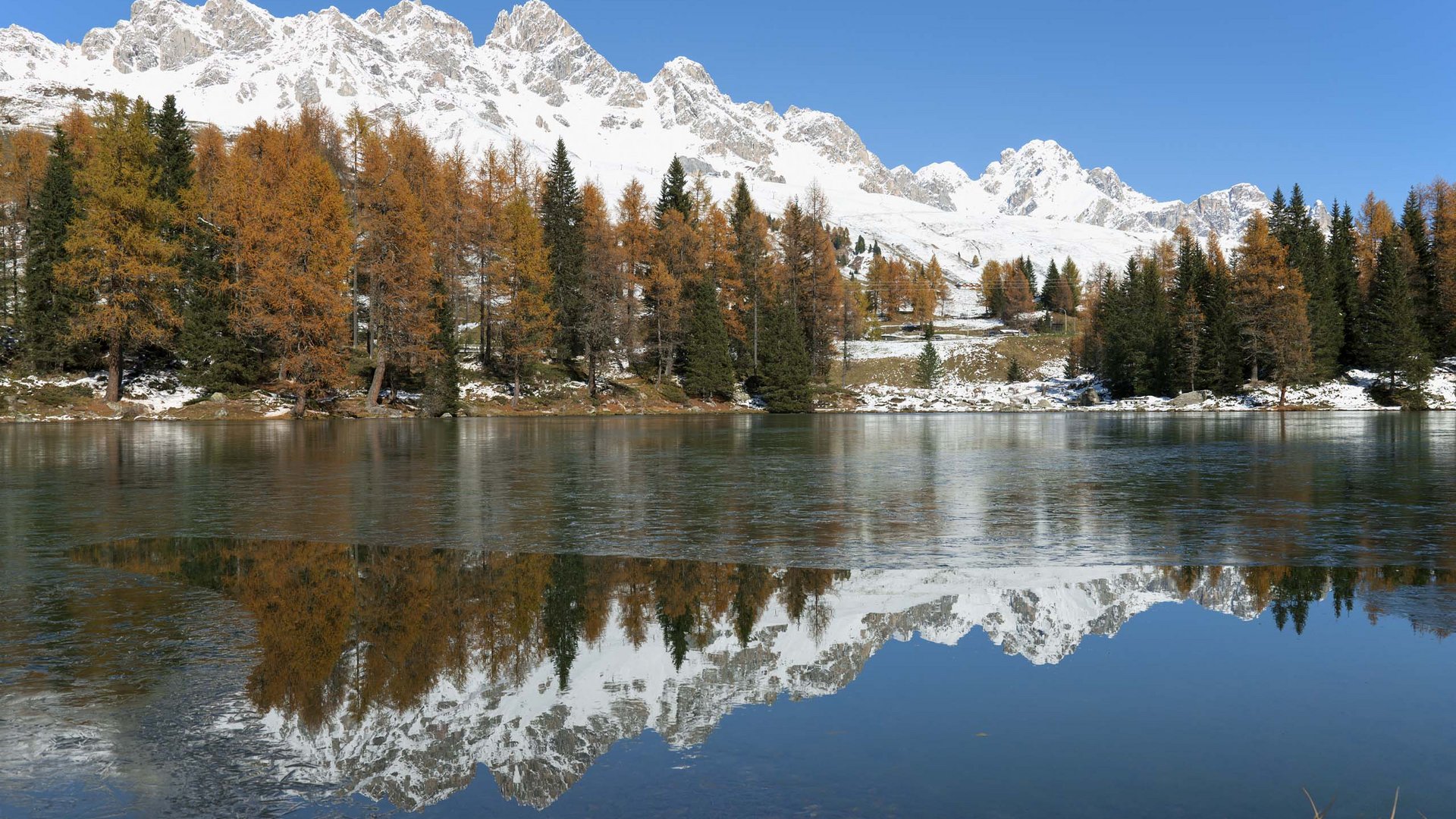 Pictures of gentle eco-tourism in the Alps