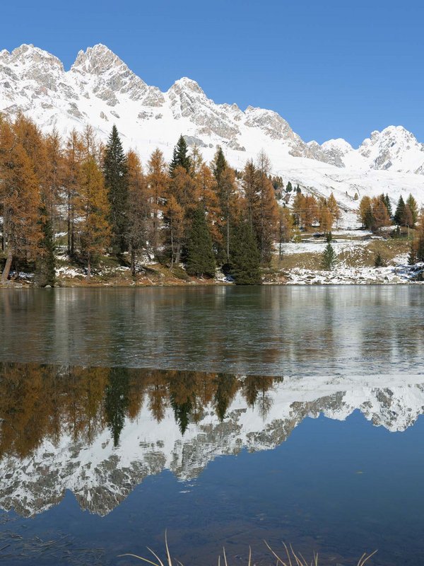 Moena, the fairy of the Dolomites
