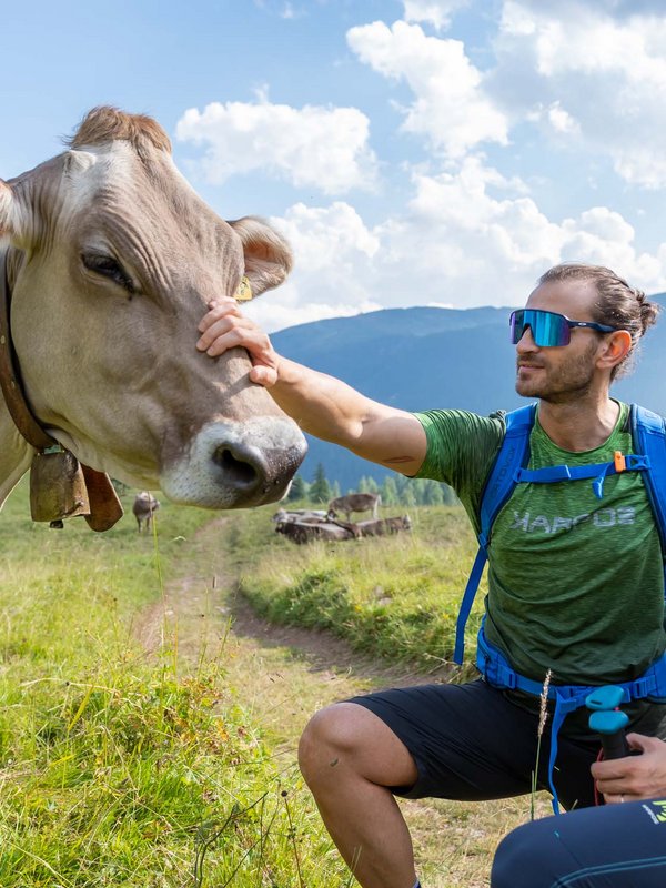 Vacanze senza auto in Italia