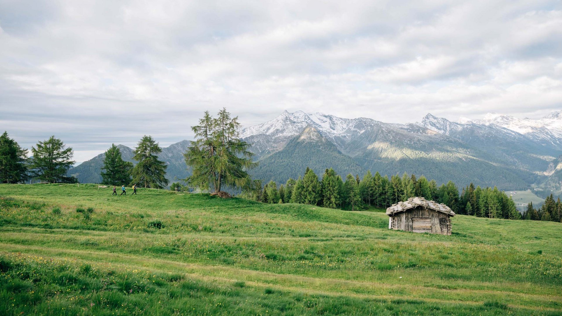 Pictures of gentle eco-tourism in the Alps