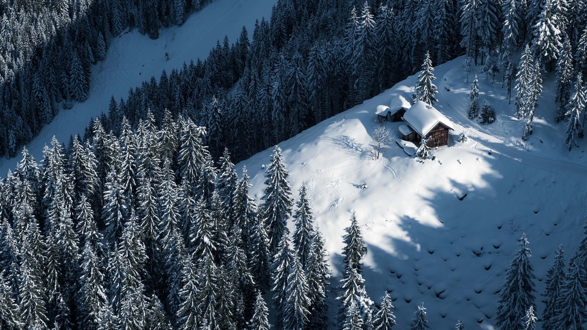 Pictures of gentle eco-tourism in the Alps