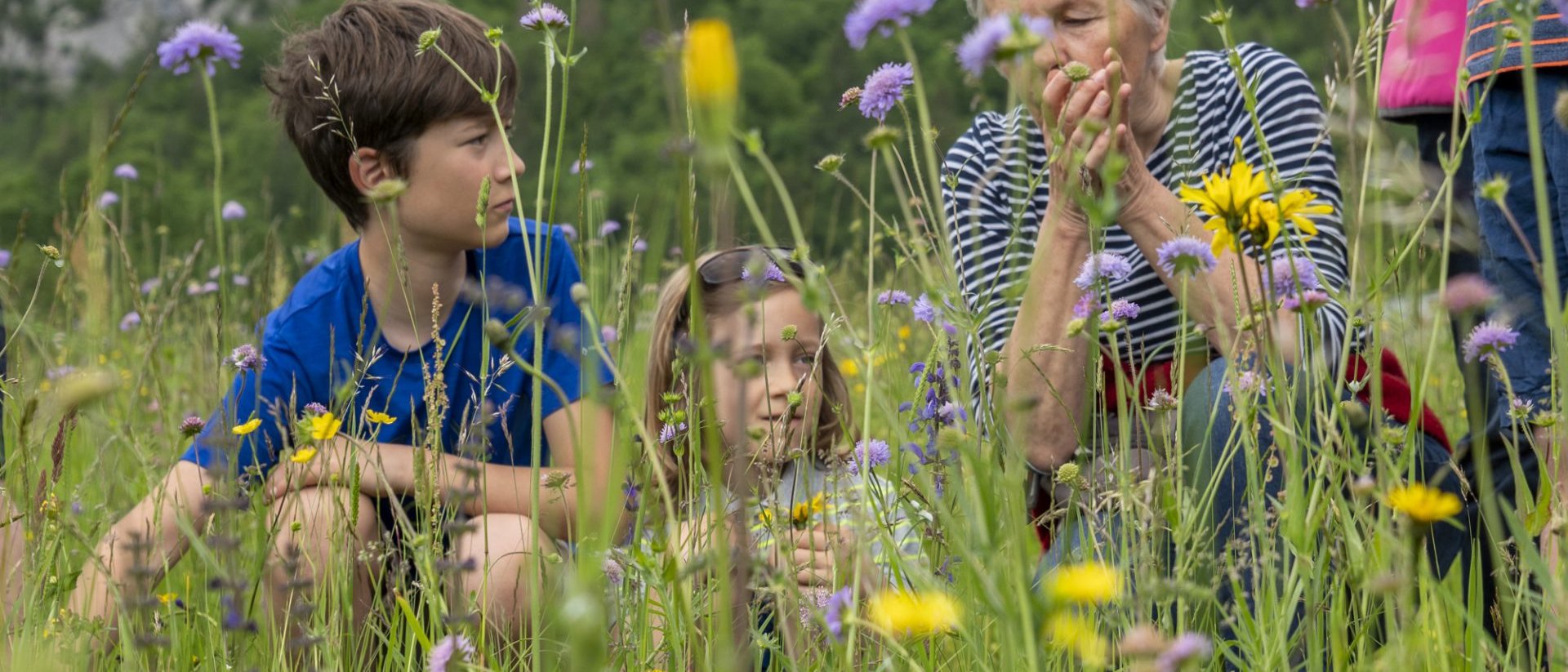 Bohinj, Where Wildflowers and Sustainable Tourism Flourish
