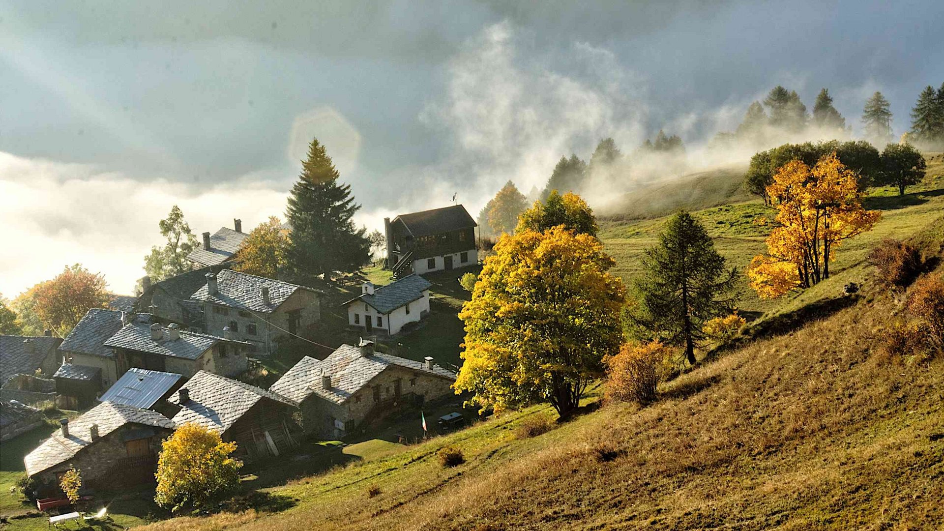 Chamois: zatočišče