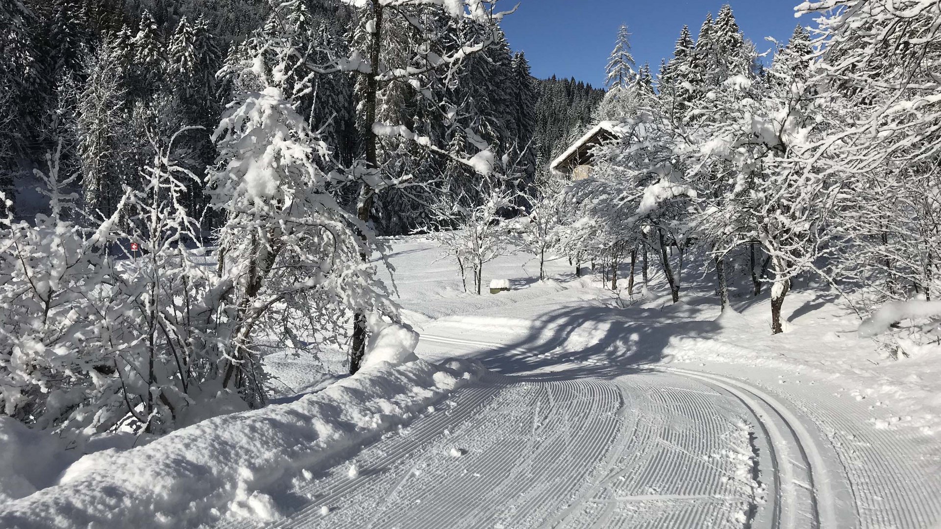 Pictures of gentle eco-tourism in the Alps