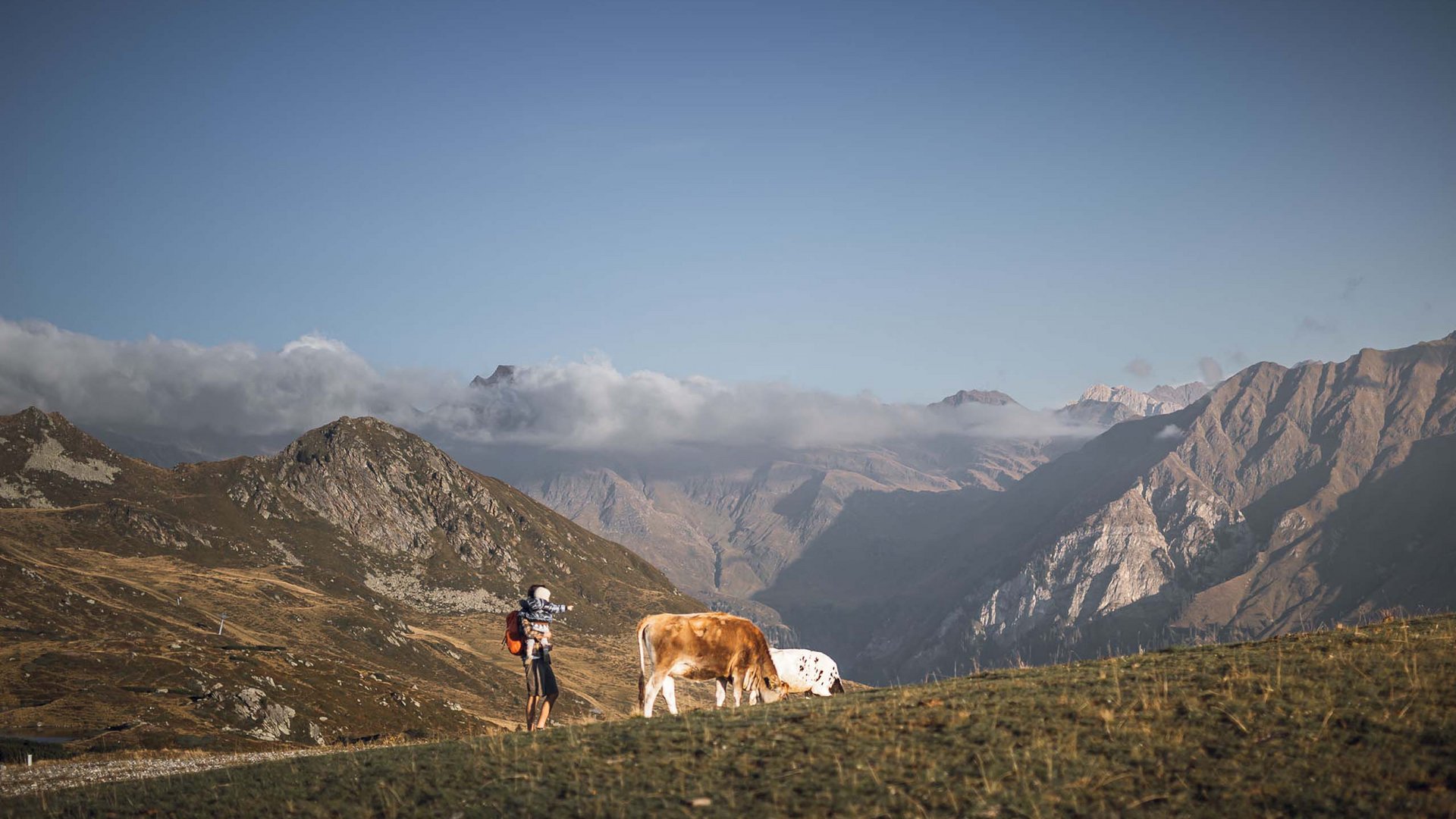 Pictures of gentle eco-tourism in the Alps