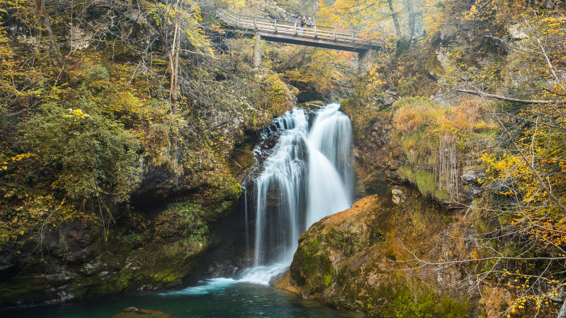 Pictures of gentle eco-tourism in the Alps