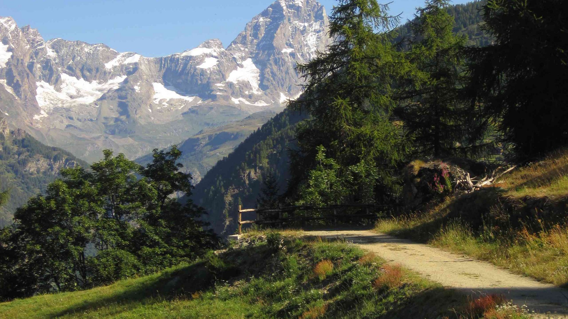 Pictures of gentle eco-tourism in the Alps