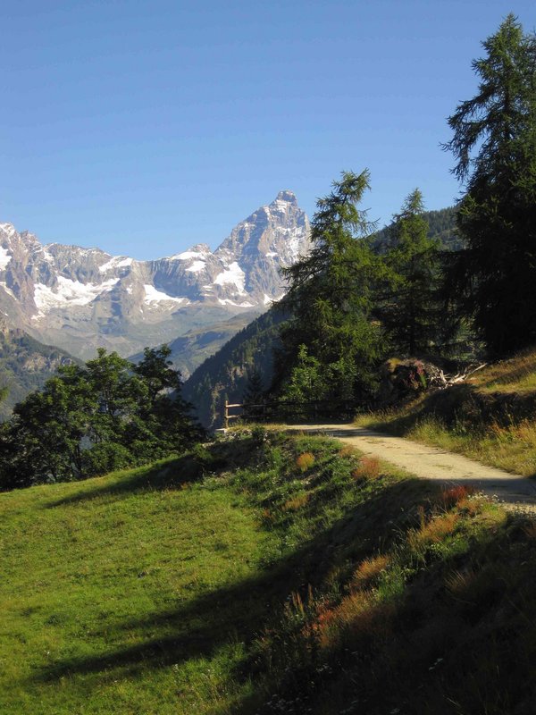 Chamois: der Zufluchtsort