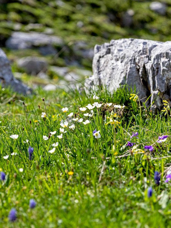 Limone Piemonte, il paradiso in terra