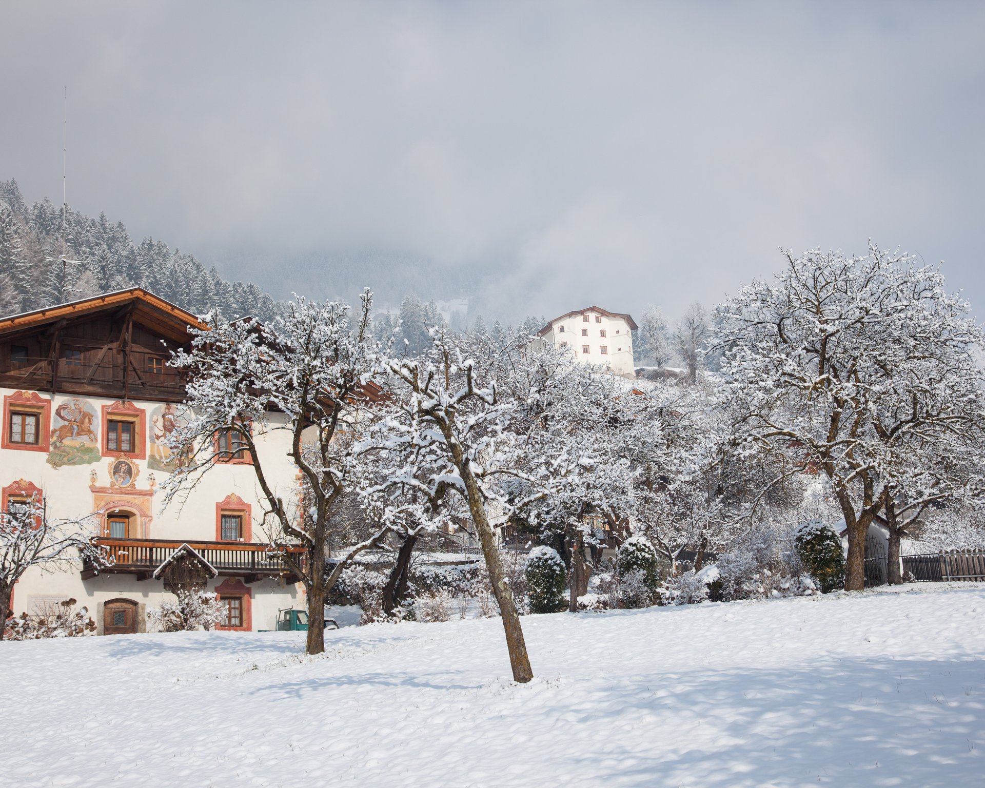Seelengarten: Moos im Passeiertal Seelengarten: Moos im Passeiertal