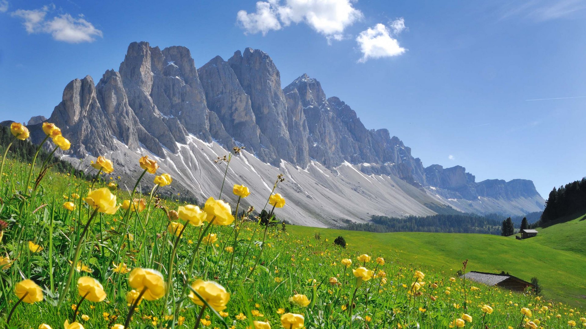 Sanfter Ökotourismus in den Alpen in Bildern