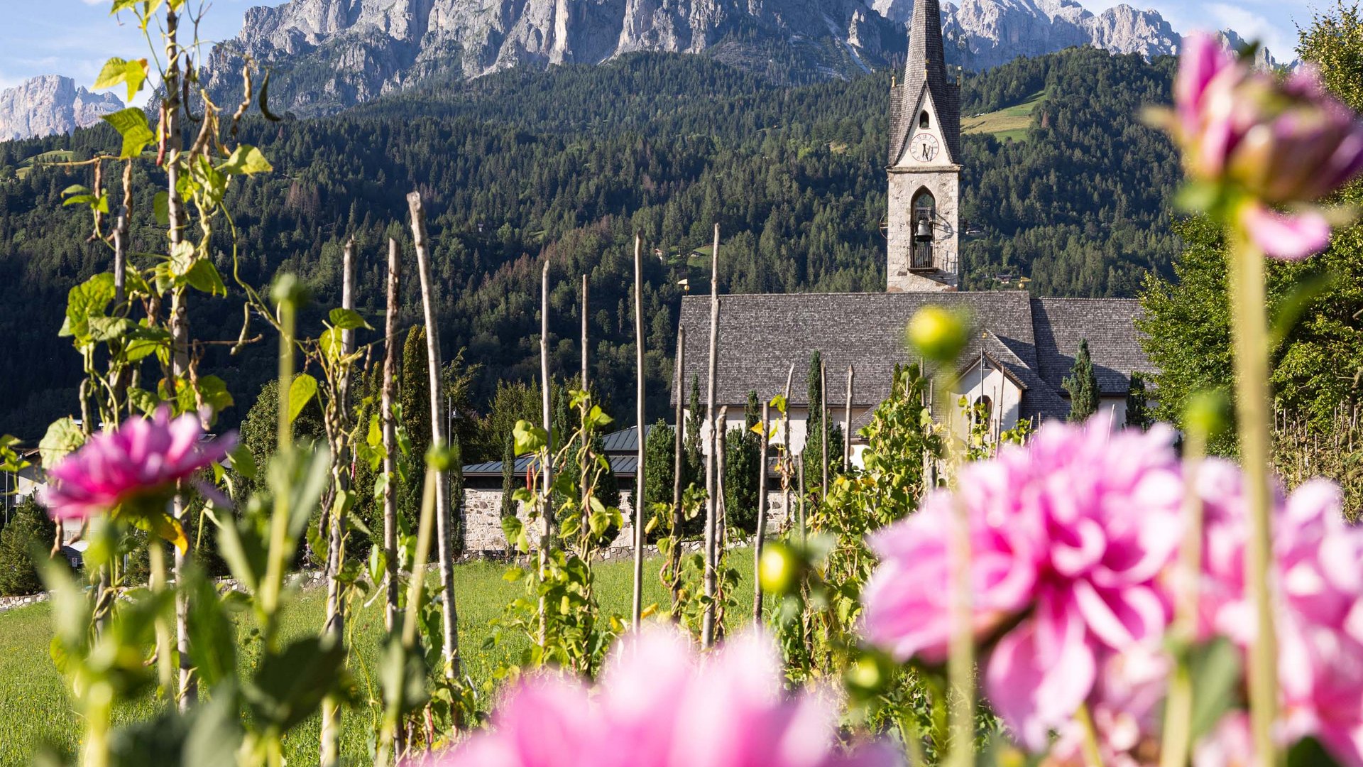 Pictures of gentle eco-tourism in the Alps