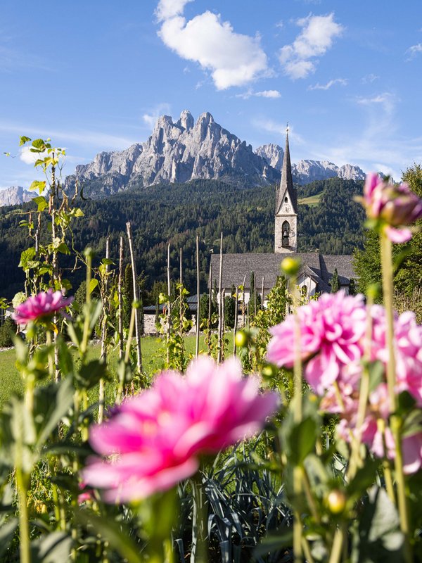 Lepota Dolomitov Primiero San Martino di Castrozza