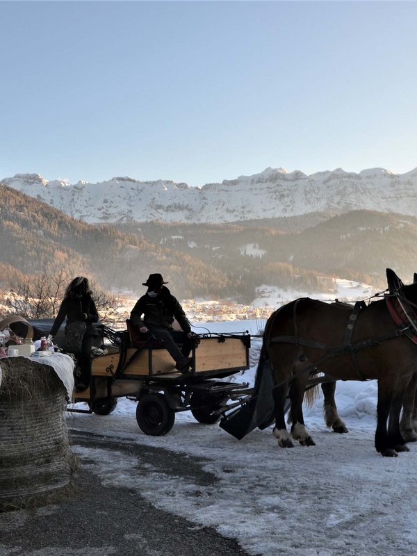 Dolomitic beauty in Primiero San Martino di Castrozza