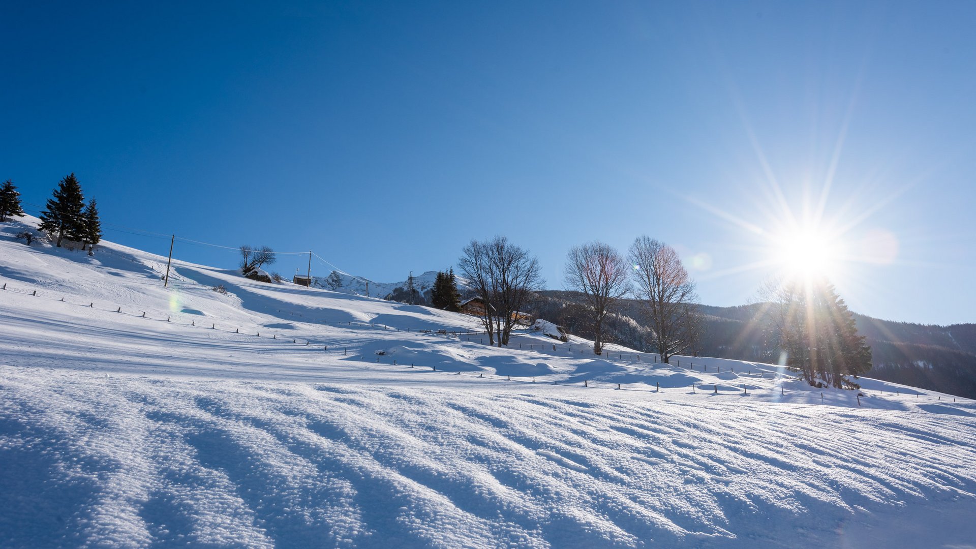 Sanfter Ökotourismus in den Alpen in Bildern