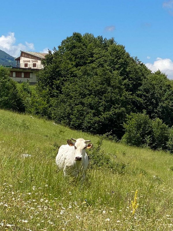 Heaven on earth in Limone Piemonte