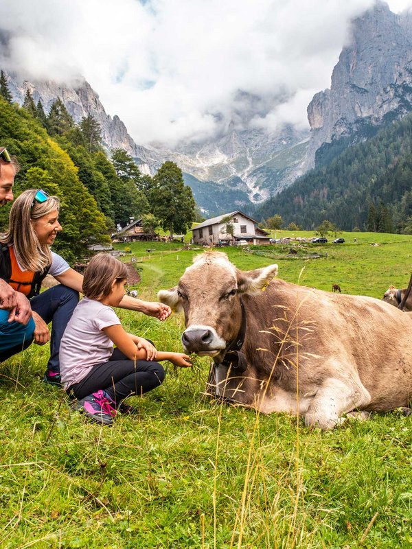 La maestosità delle Dolomiti a Primiero San Martino di Castrozza