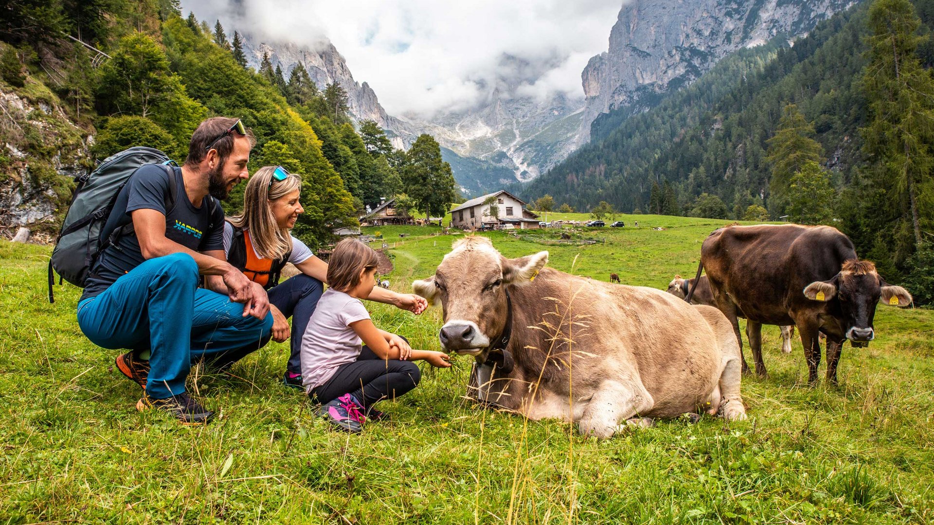 Pictures of gentle eco-tourism in the Alps