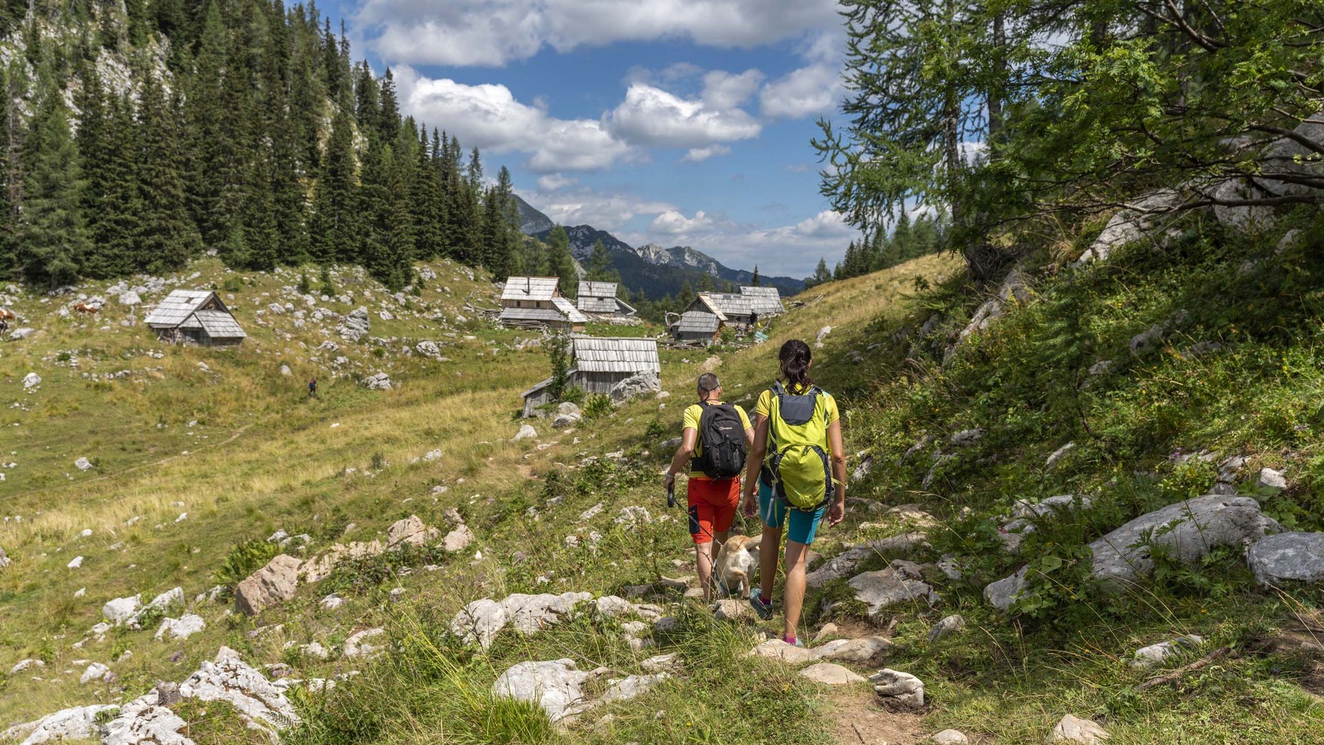 Pictures of gentle eco-tourism in the Alps