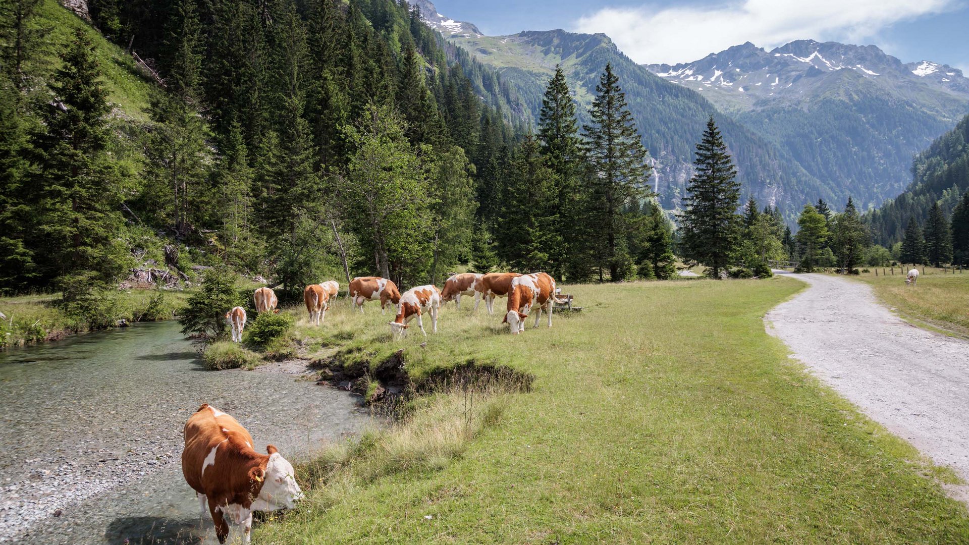 Sanfter Ökotourismus in den Alpen in Bildern