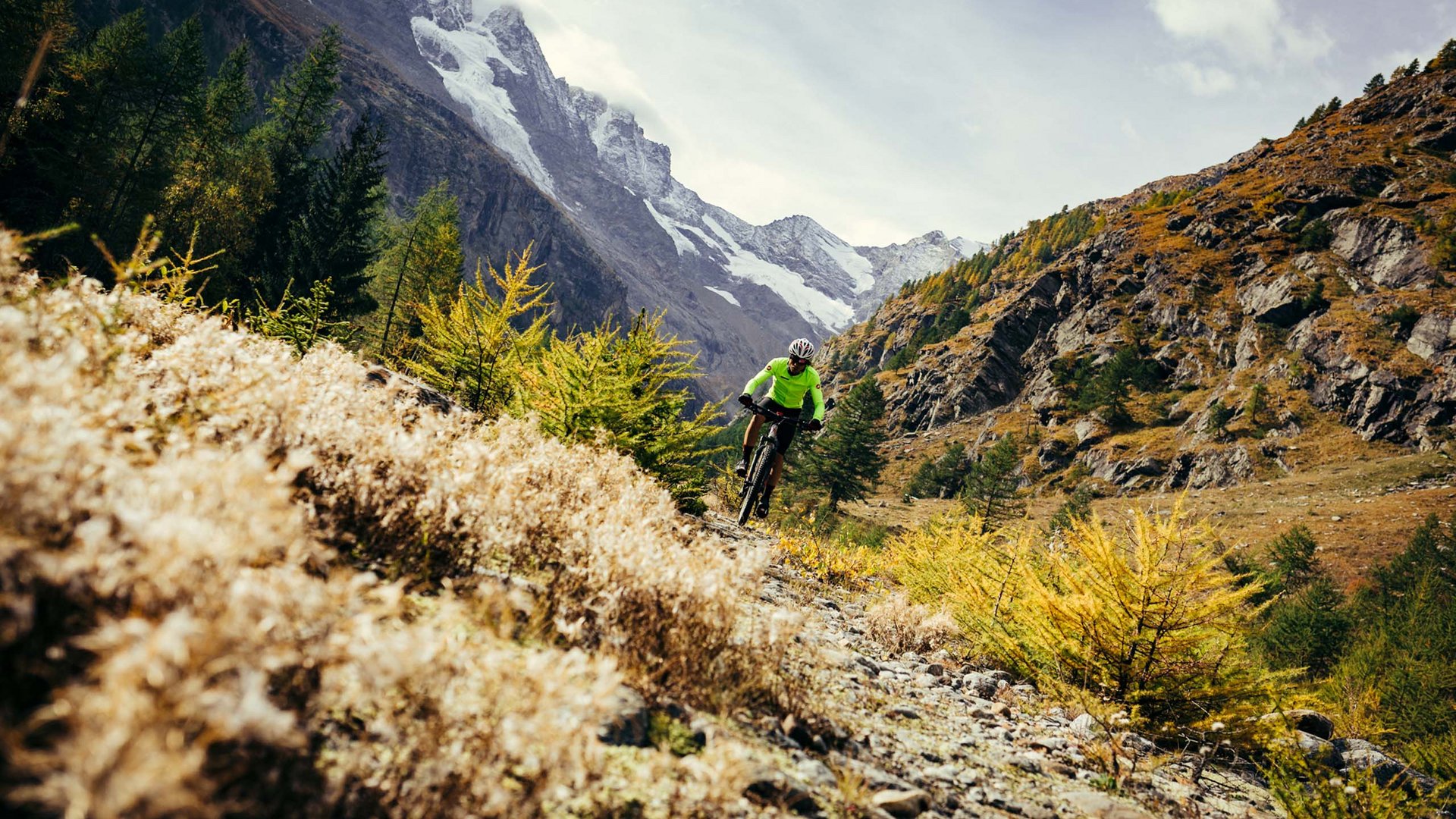 Pictures of gentle eco-tourism in the Alps