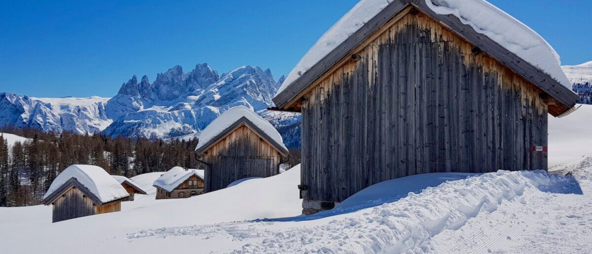 Tre escursioni invernali nei dintorni di Moena che non ti puo perdere