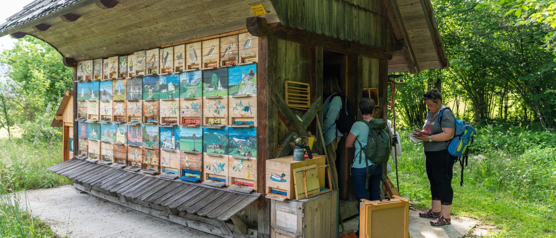 Bohinj, Where Wildflowers and Sustainable Tourism Flourish