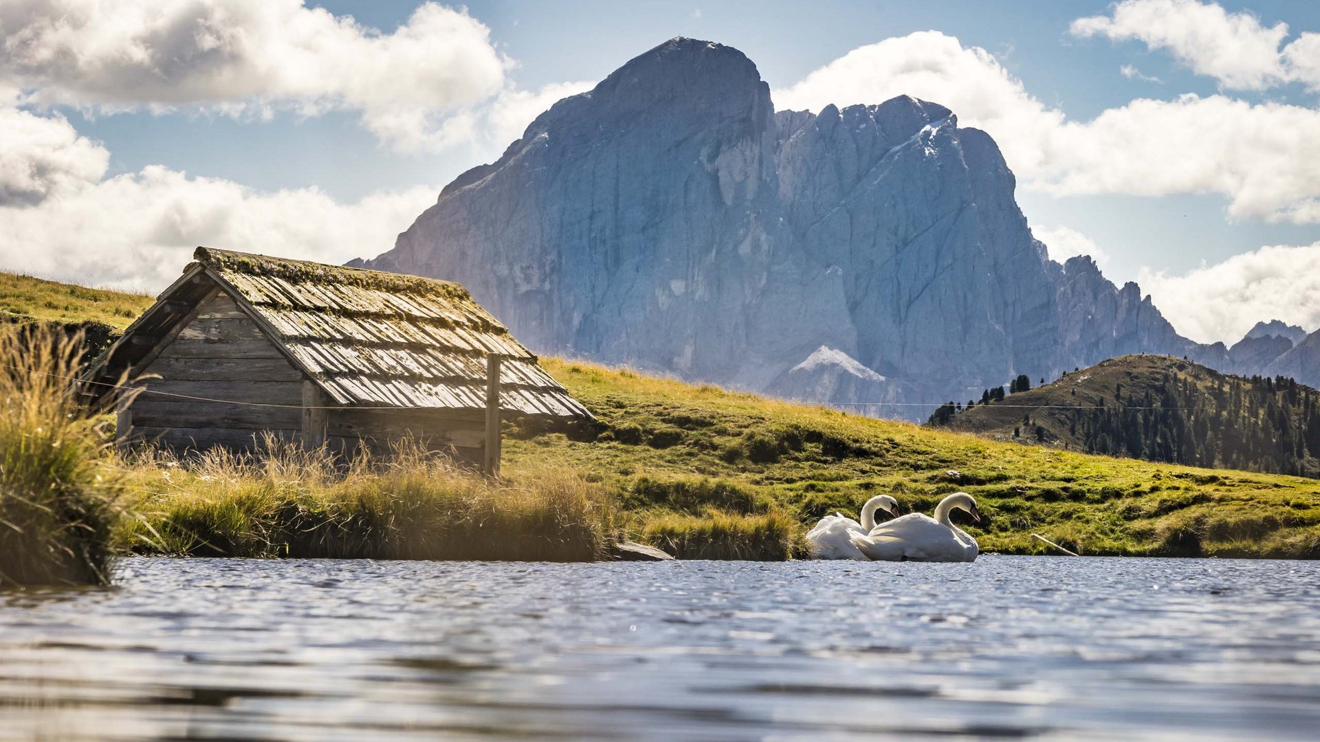 Pictures of gentle eco-tourism in the Alps