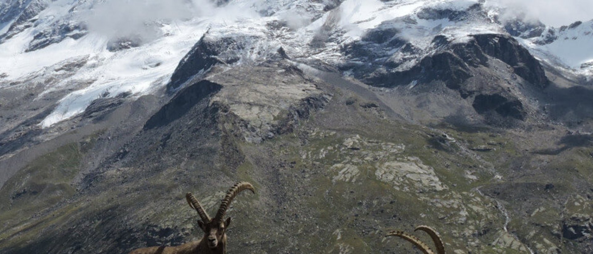 L'estate nel Parco Nazionale Gran Paradiso