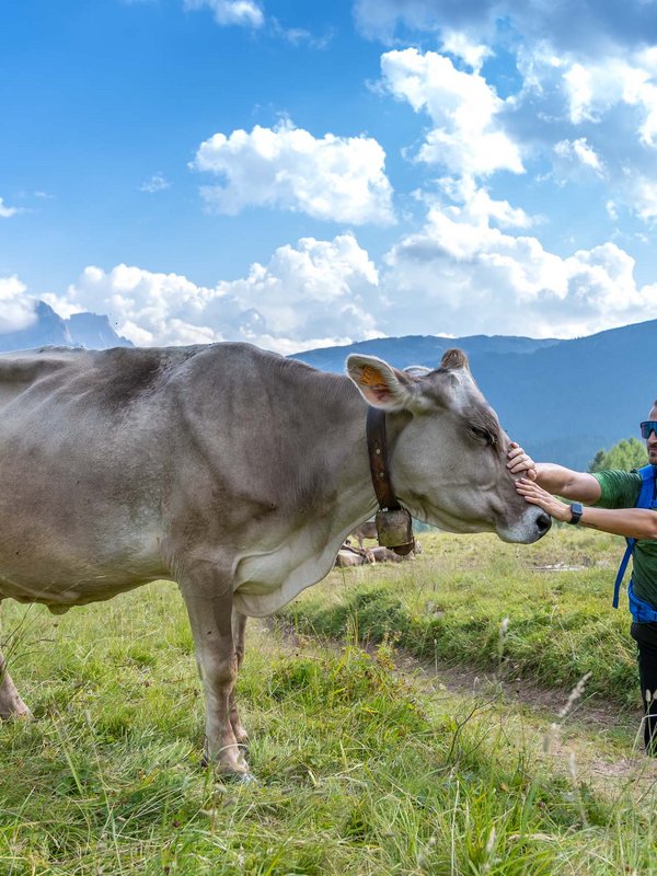 Falcade, un viaggio per i sensi