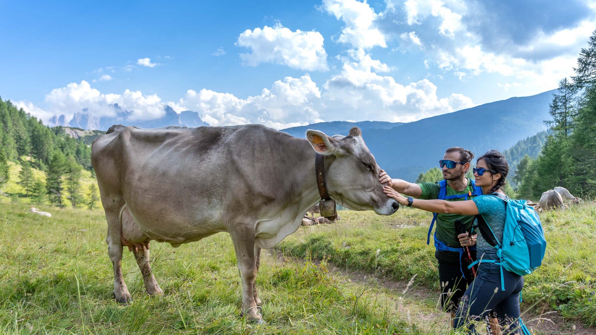 Pictures of gentle eco-tourism in the Alps