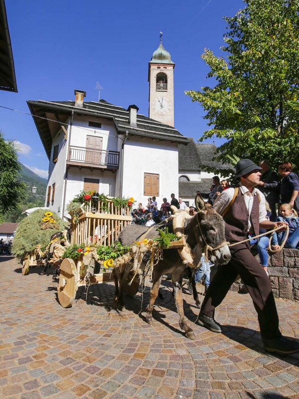 La maestosità delle Dolomiti a Primiero San Martino di Castrozza