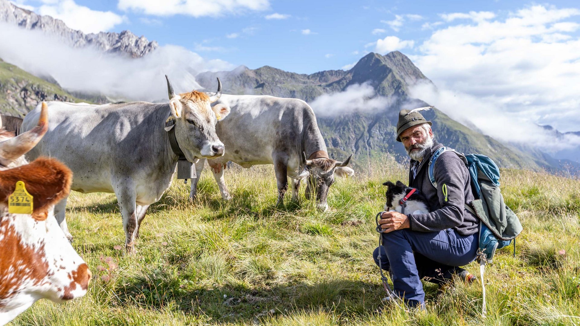 Sanfter Ökotourismus in den Alpen in Bildern