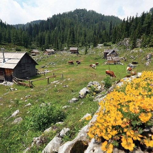 Alpine Pearls – a car-free holiday in the Alps