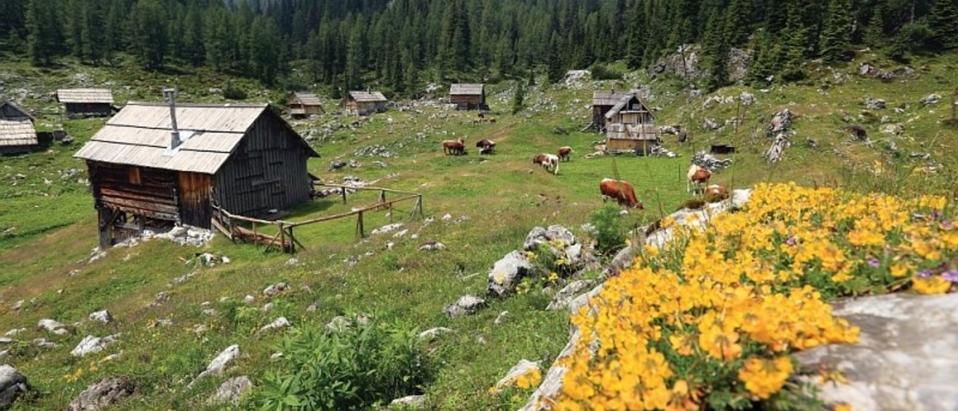 Eco-mobile holidays in Bohinj