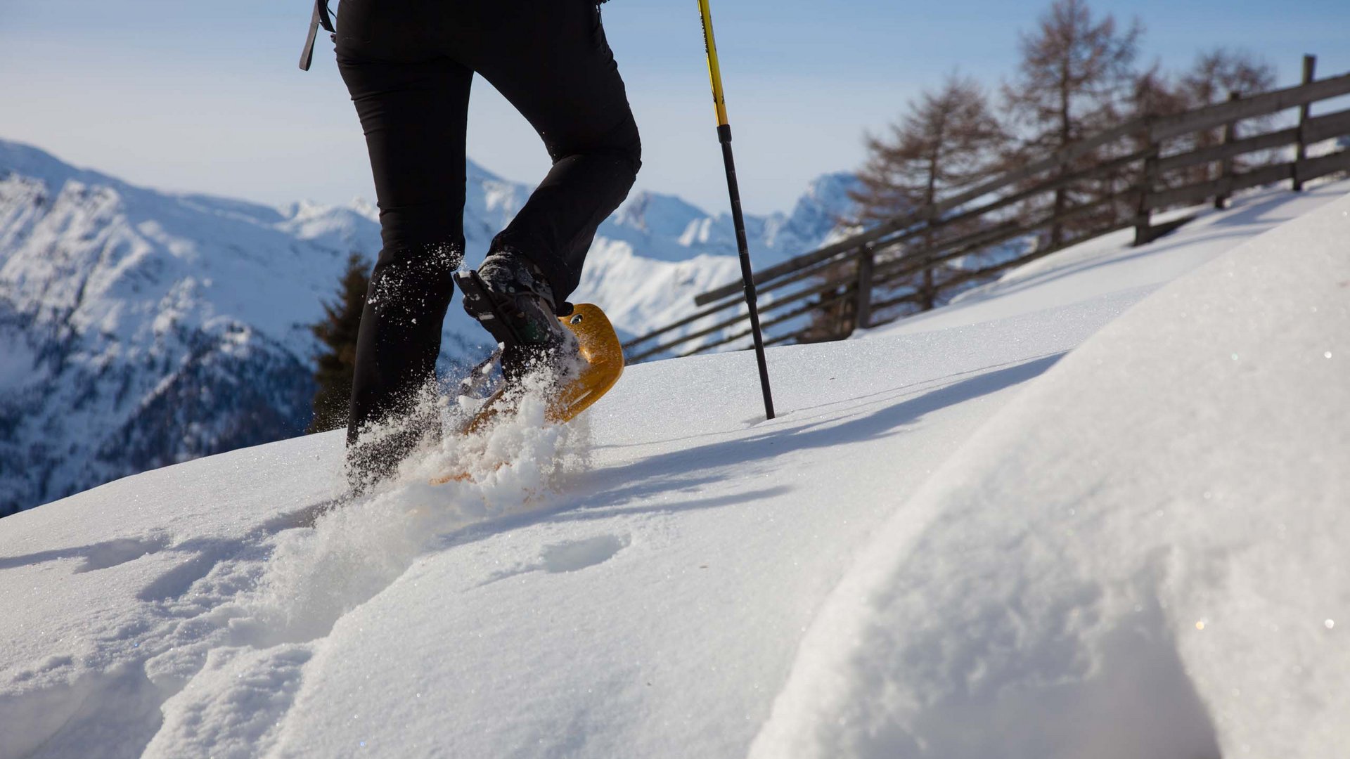 Sanfter Ökotourismus in den Alpen in Bildern