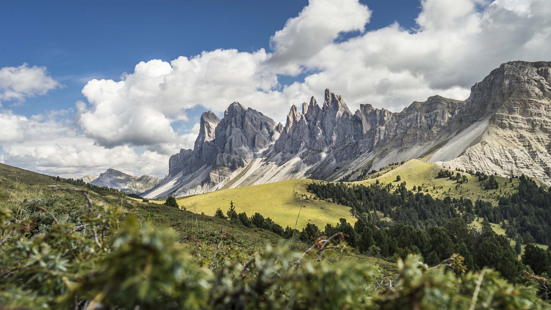 Pictures of gentle eco-tourism in the Alps