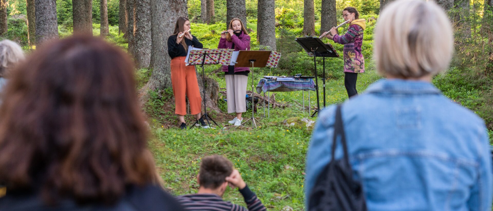 Bohinj, Where Wildflowers and Sustainable Tourism Flourish
