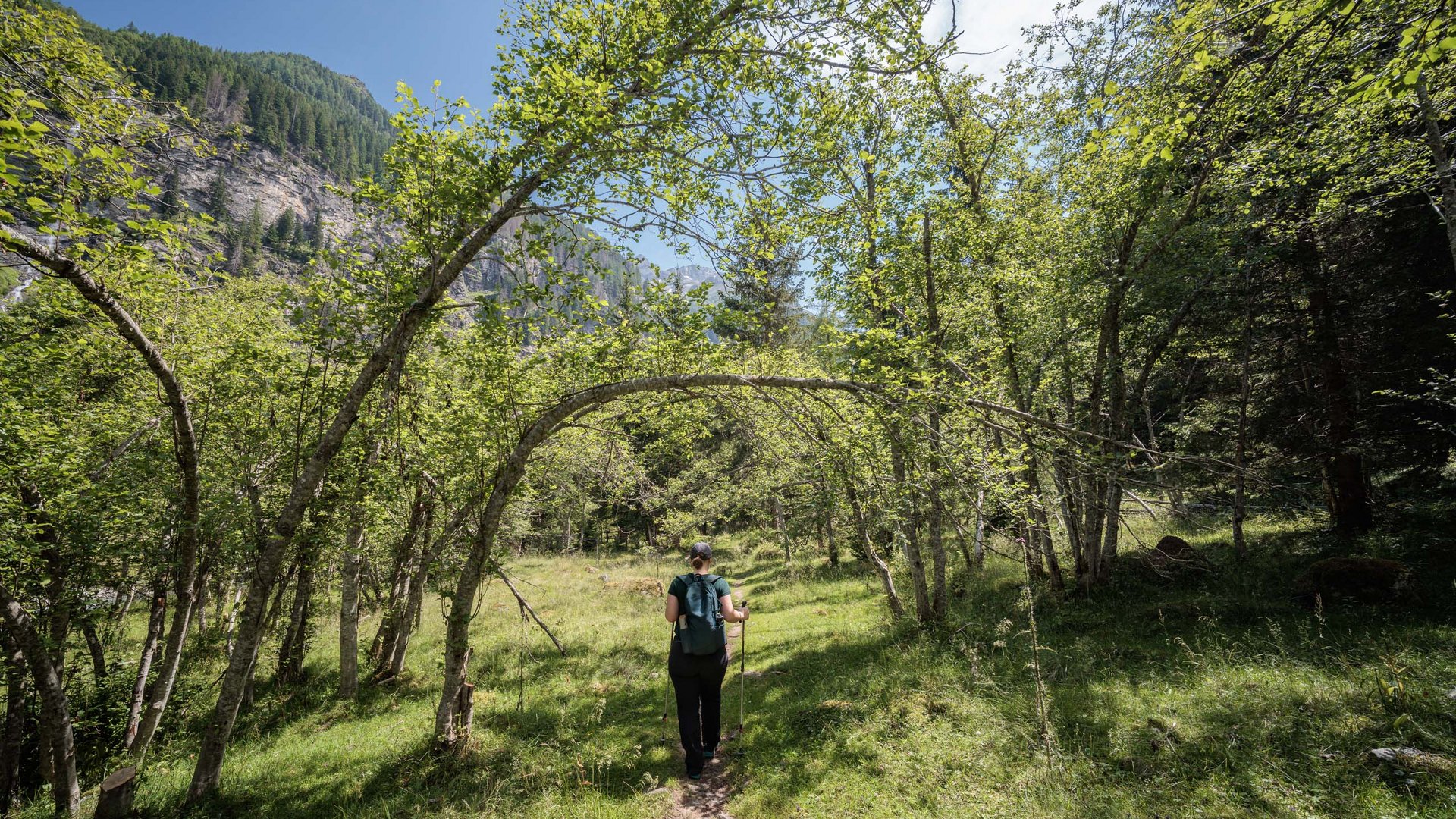 Pictures of gentle eco-tourism in the Alps