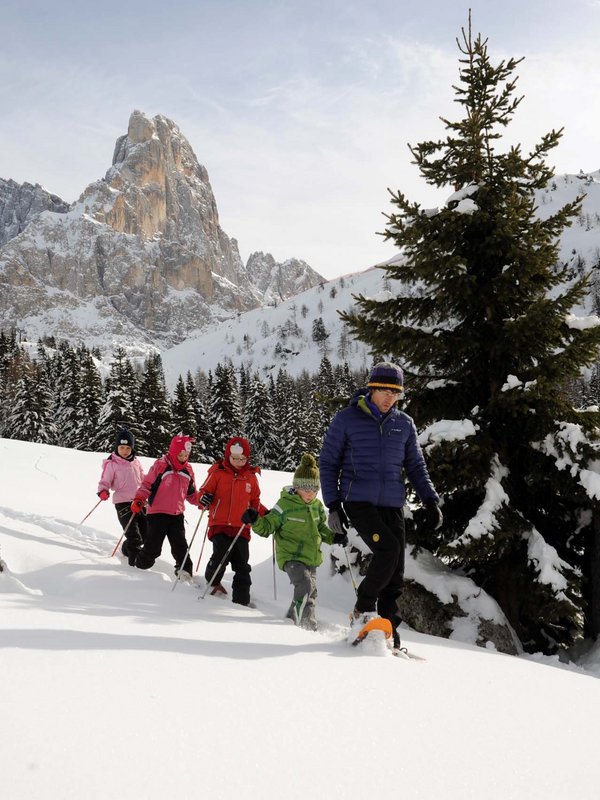 Dolomitic beauty in Primiero San Martino di Castrozza