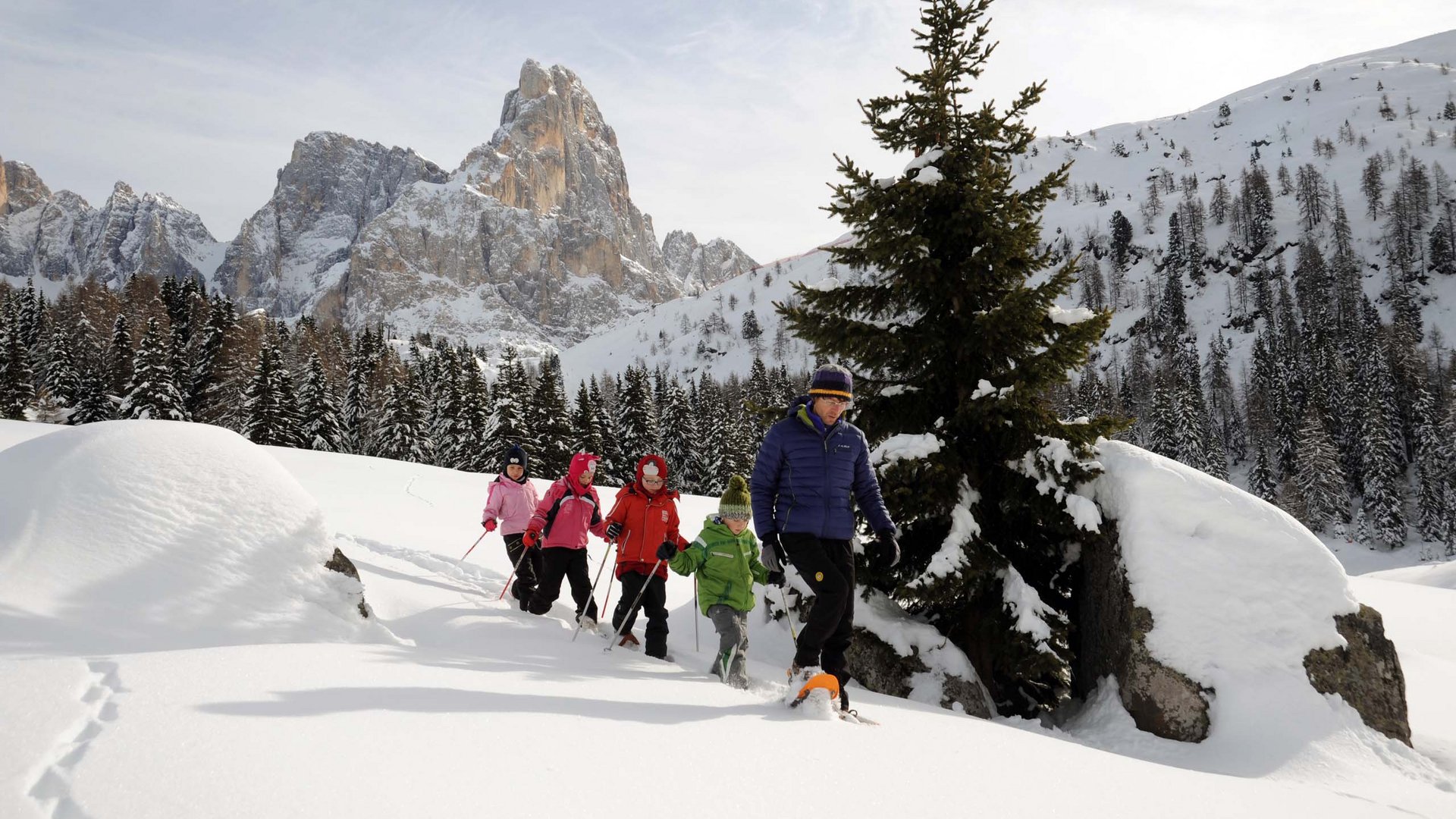 Pictures of gentle eco-tourism in the Alps