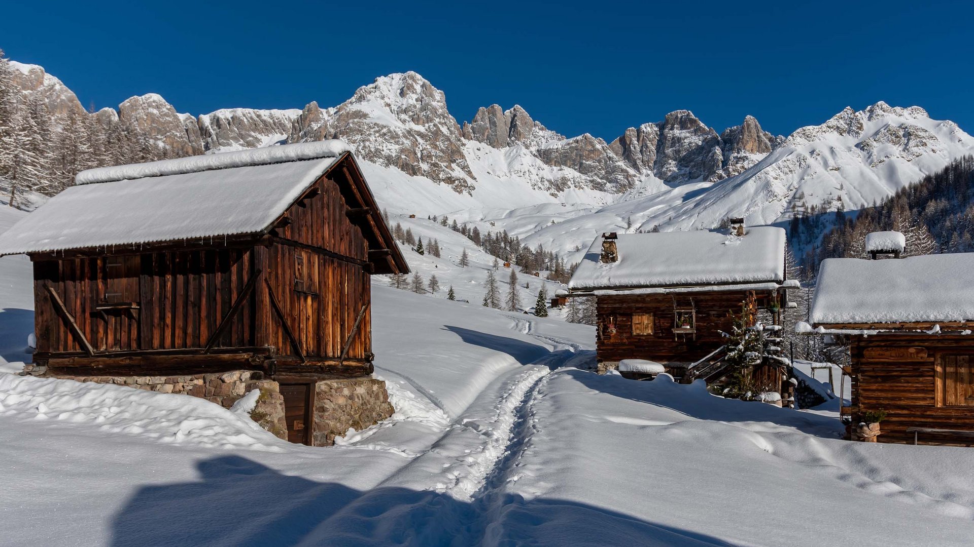 Pictures of gentle eco-tourism in the Alps