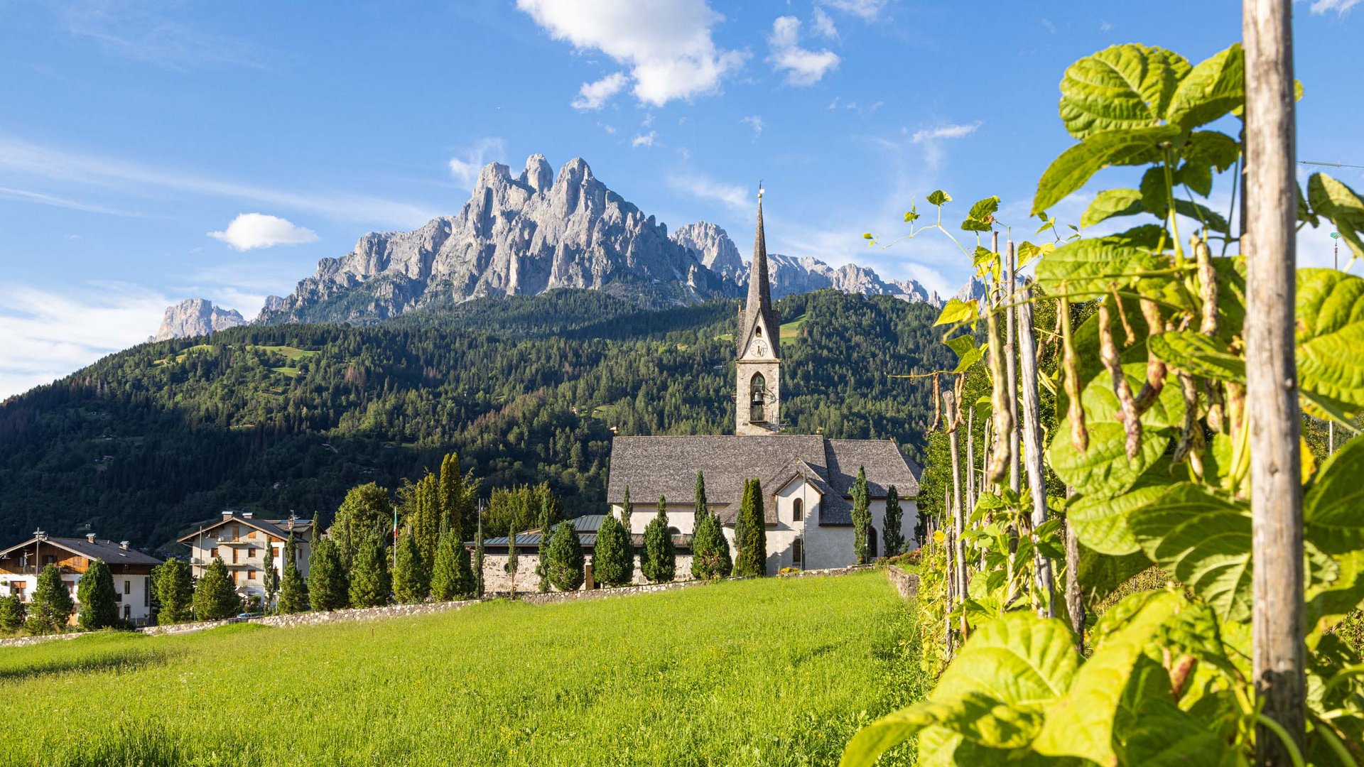 Pictures of gentle eco-tourism in the Alps