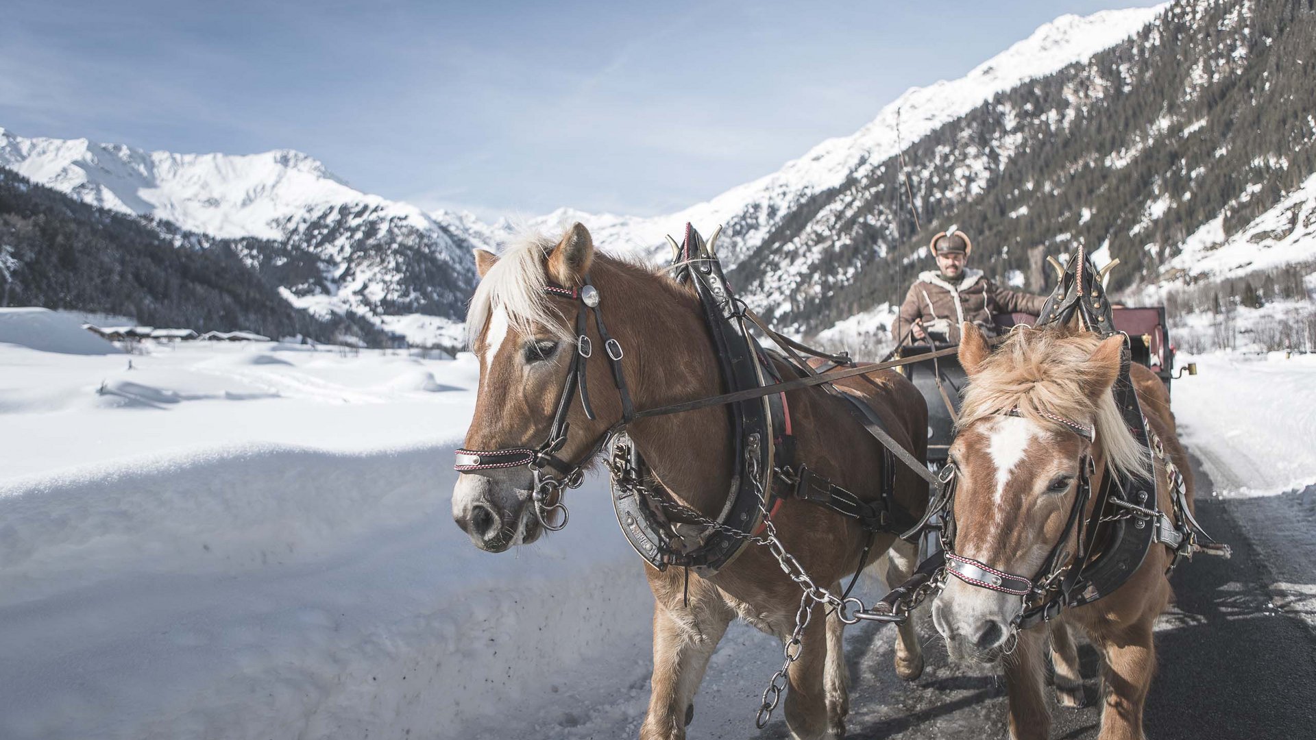 Sanfter Ökotourismus in den Alpen in Bildern