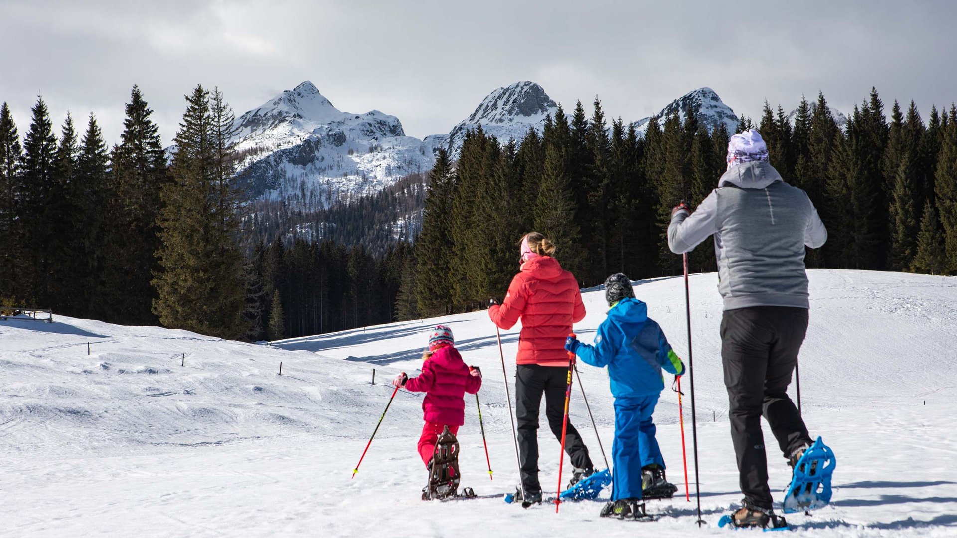 Sanfter Ökotourismus in den Alpen in Bildern