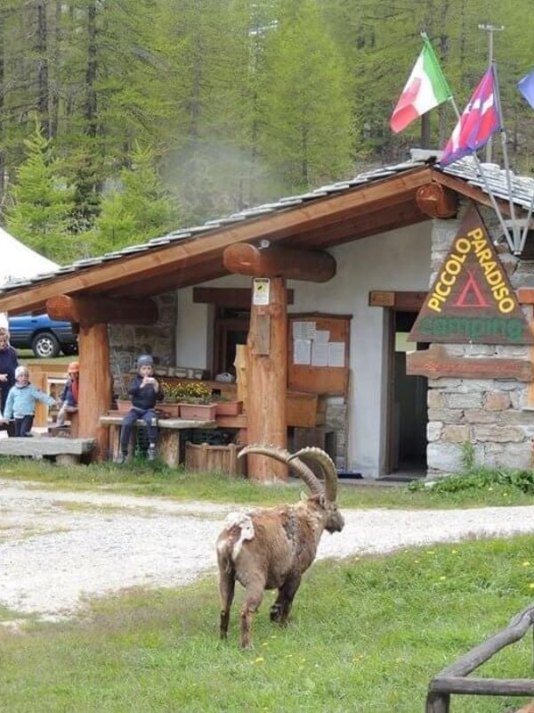 Un "piccolo paradiso" a Ceresole Reale